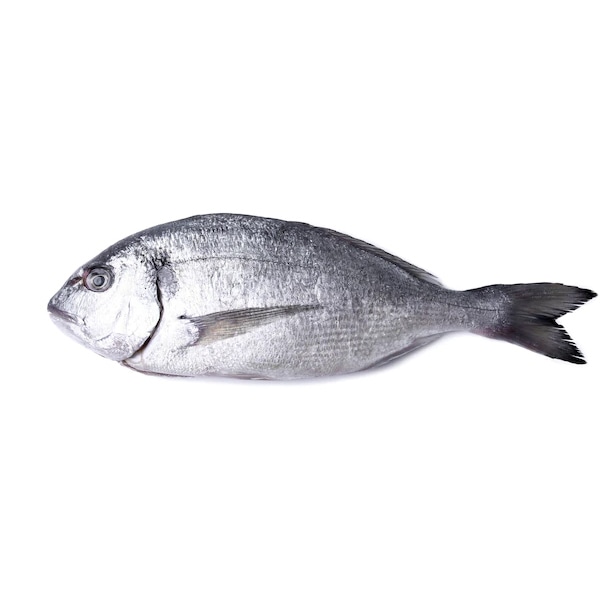 Encore Seafoods Stuffed the occasional - Image 4