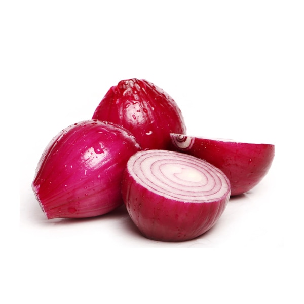 Onion hybrid varieties genus Allium - Image 4
