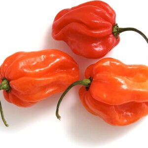 Scotch Bonnet/Haba