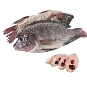 Tilapia Full Box (3.2K